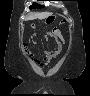 image 35