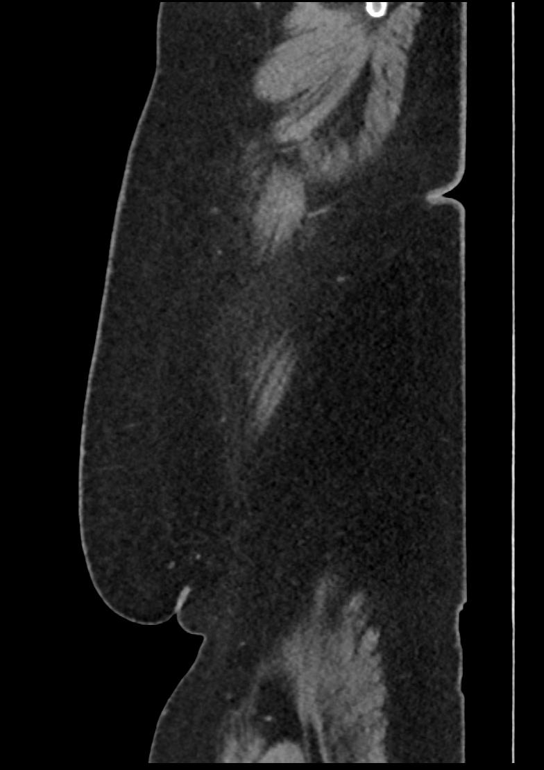 image 23