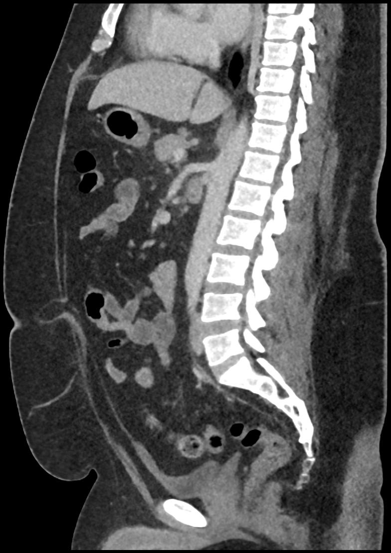image 81
