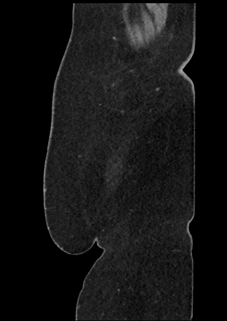image 141